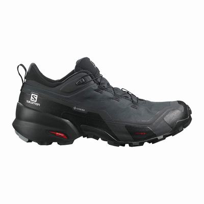 Pánské Trekové Boty Salomon CROSS HIKE GORE-TEX Tmavě Šedé/Černé SA91743-489